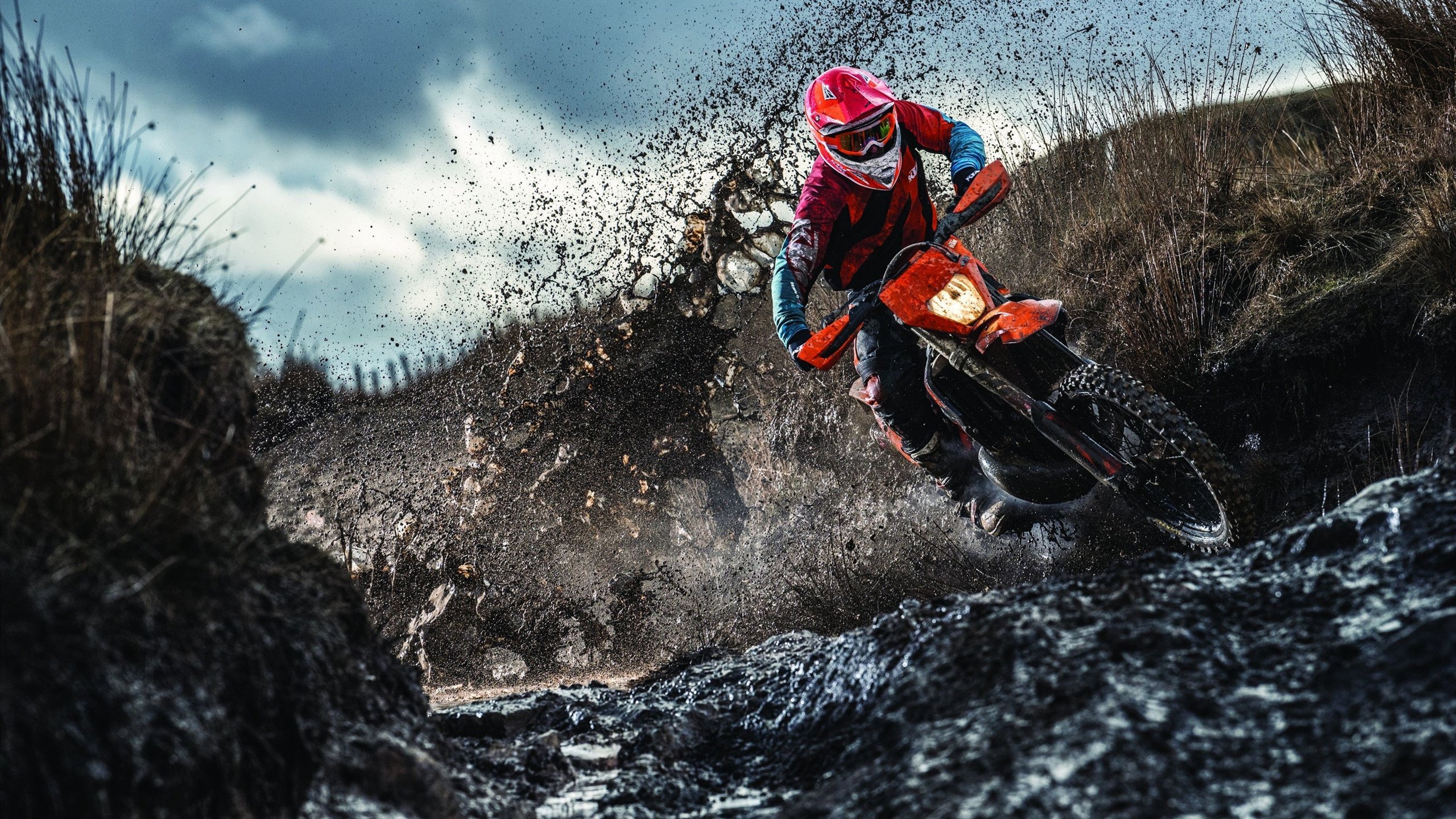 维斯塔潘强势夺冠，红牛车队再创辉煌—2024年F1西班牙大奖赛精彩回顾