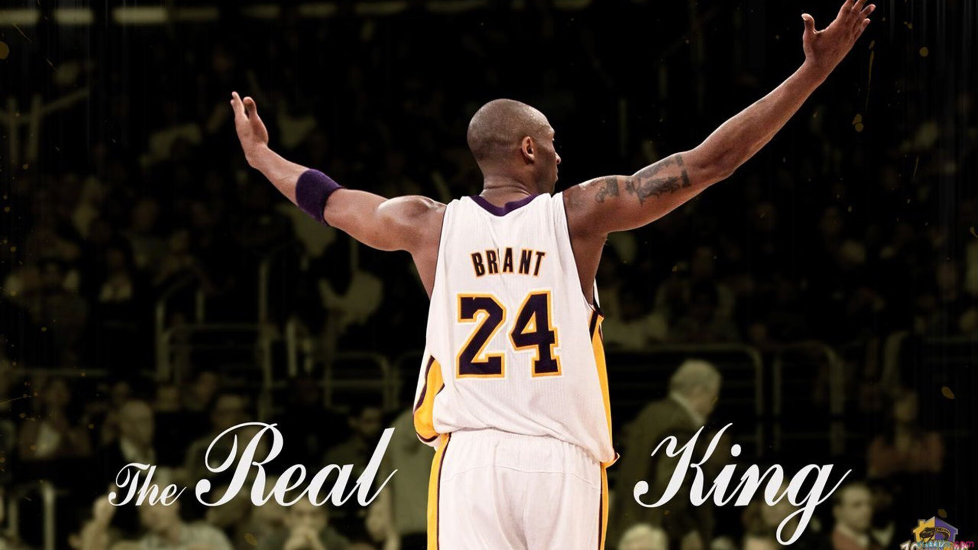 混合泳新星闪耀全国锦标赛，天才少女破纪录夺冠